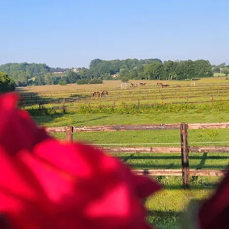 Holiday home De Lavardin Saint-Aubin-de-Locquenay