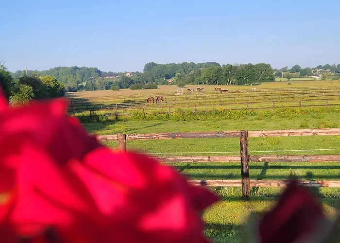 Semesterbostad De Lavardin Saint-Aubin-de-Locquenay